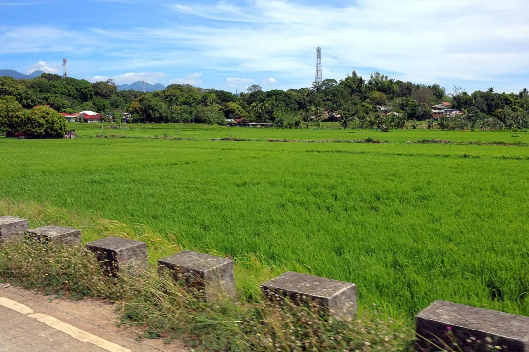 Farm fields in Bataan