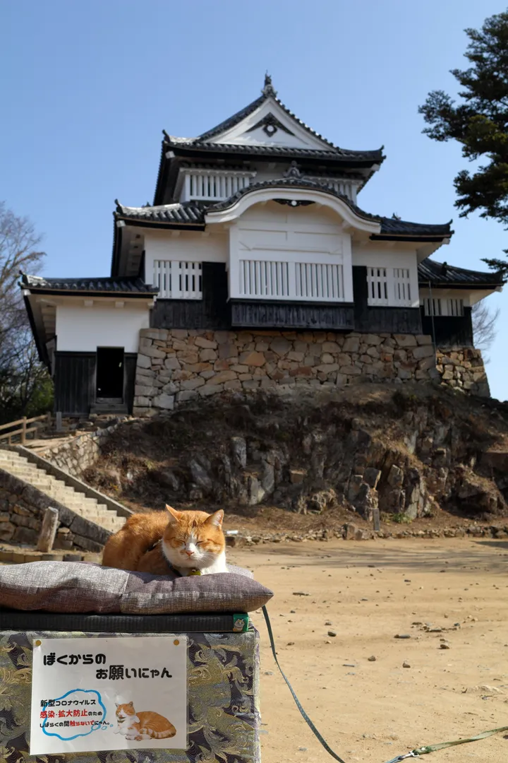 Sanjūrō and Bitchū Matsuyama Castle