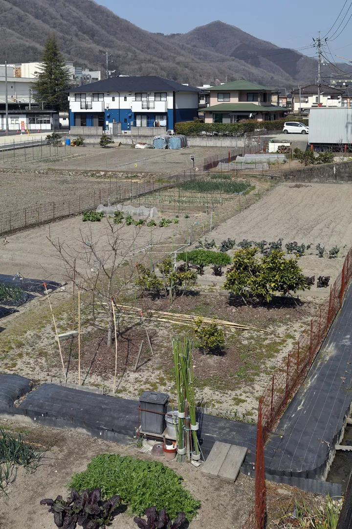 Vegetable field in Takahashi