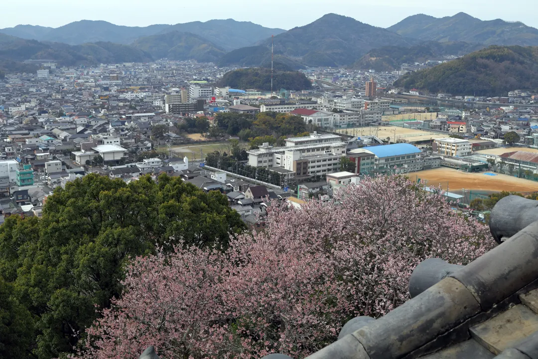 View to the south from Uwajima Castle