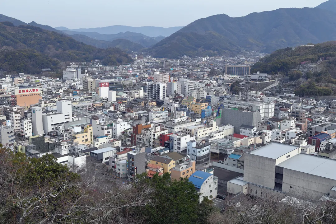 View of Uwajima's city center from Uwajima Castle