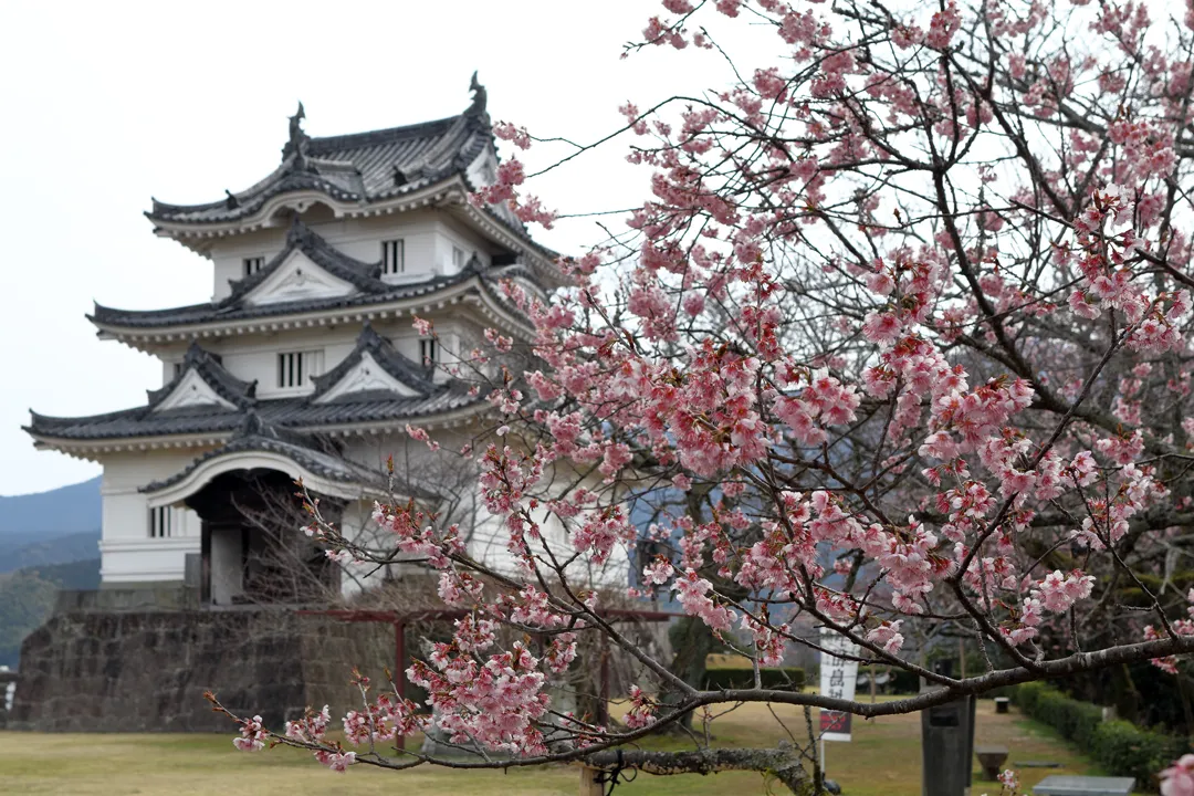 Uwajima Castle and the Yodo Line