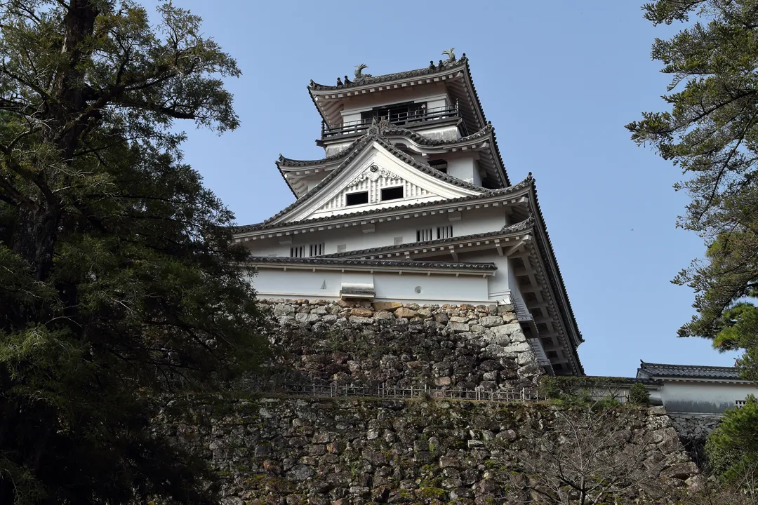 An Overnight Stop in Kōchi