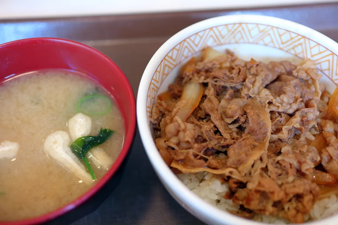 Gyudon and miso soup