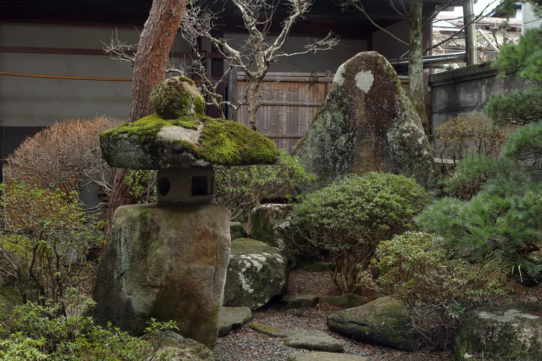 The garden in the back of the shop