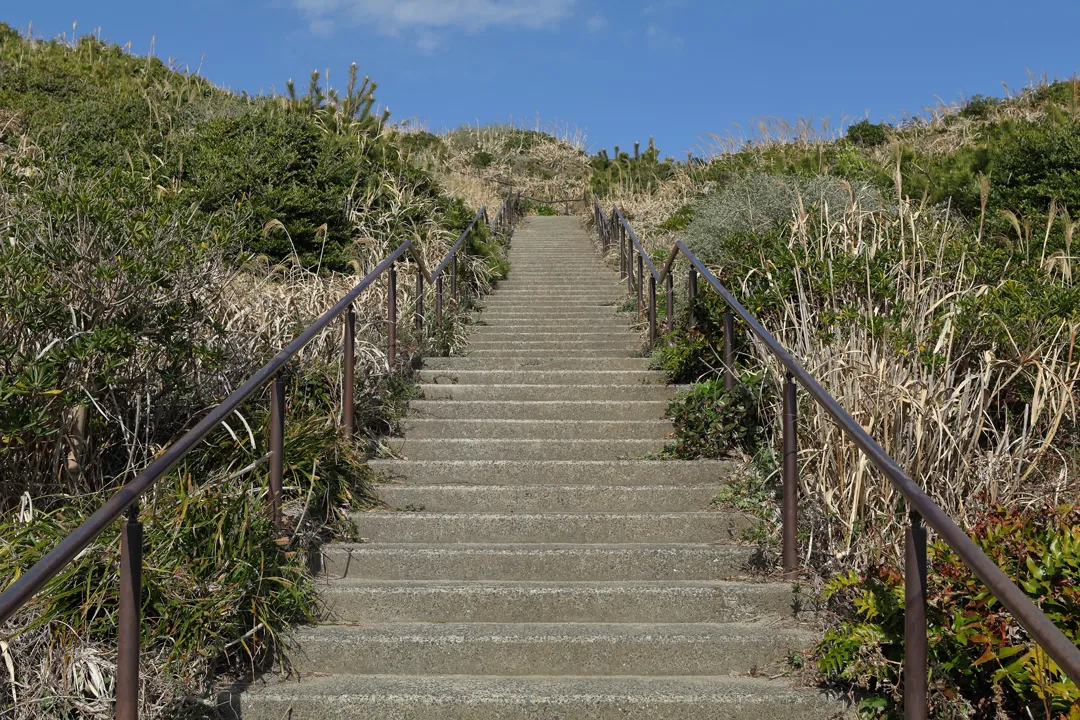 Stairs at the beginning of the trail