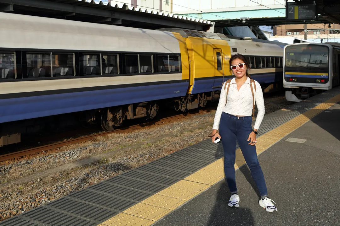 A limited express train and a commuter train on the Sōbu Main Line