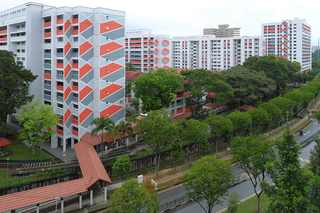 The view from Block 325