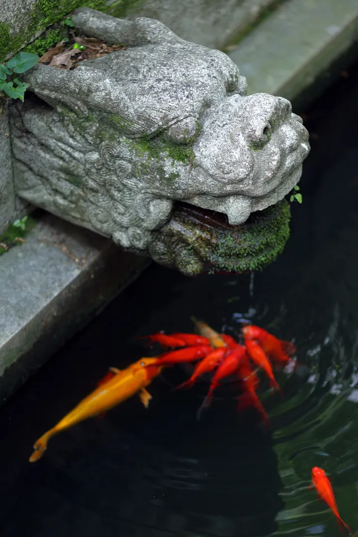 A dragon-shaped fountain in the temple