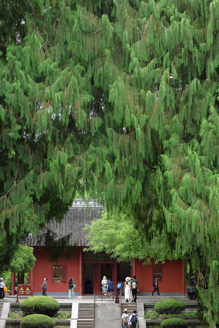 One of the smaller buildings viewed though the foliage