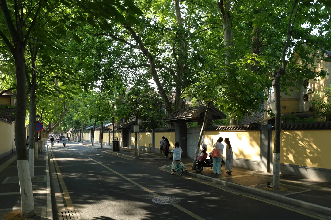 The street with yellow walls