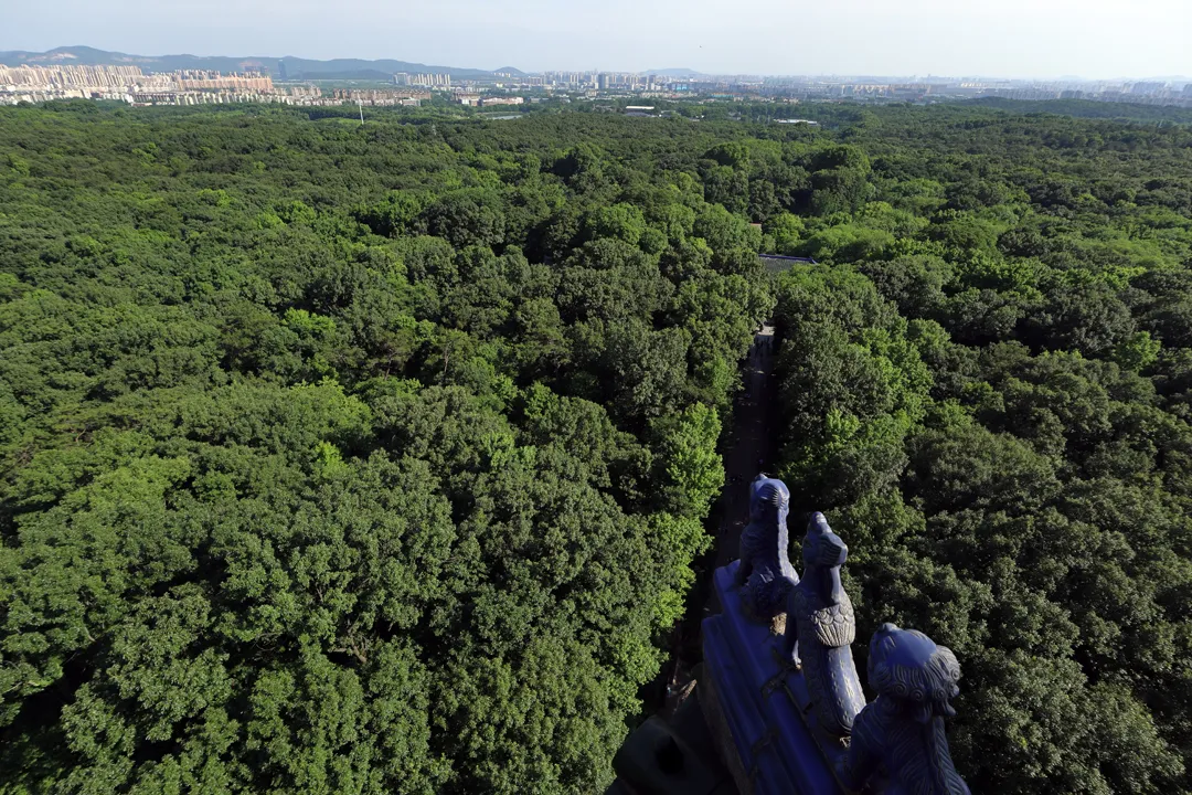 Looking southeast over the park